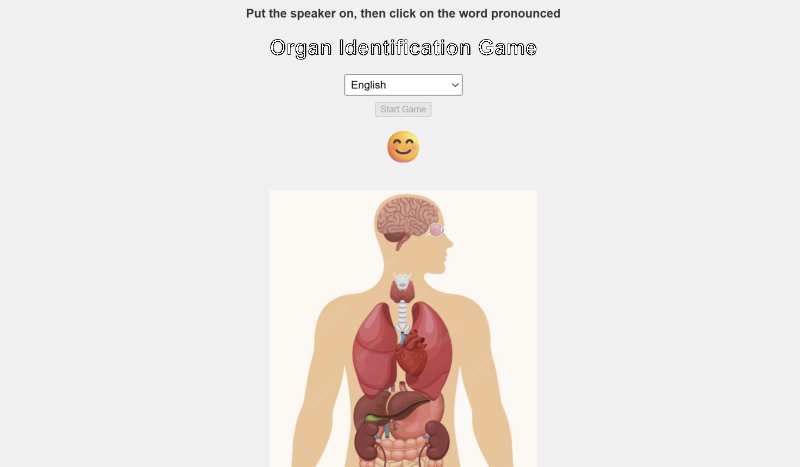 Anatomy game for children